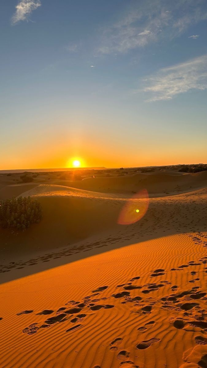 Desert Adventure